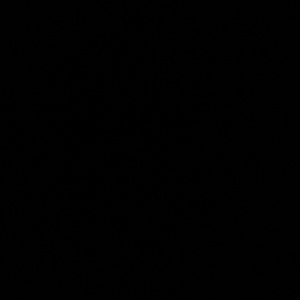 Meet your Posher, Lucas